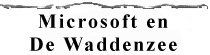 Microsoft en de Waddenzee