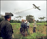 Een overheidsvliegtuig in Colombia besproeit coca planten met een herbicide. Bron: Mother Jones