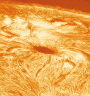 Detailopname van een deel van de zon nabij een zonnevlek, met vele stroomvoerende lussen.