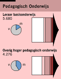 Pedagogisch Onderwijs