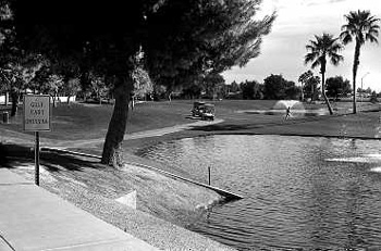 Een golfterrein in Phoenix, met water uit de Colorado-rivier (Foto's: Henk Donkers)