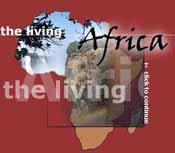 Een tweede prijs voor The Living Africa