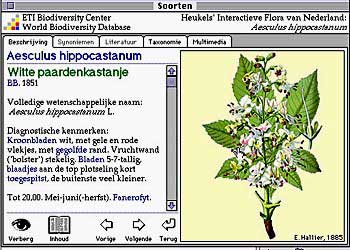 Screenshot van <I>Heukels Interactieve Flora van Nederland</I>